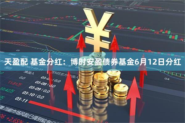 天盈配 基金分红：博时安盈债券基金6月12日分红