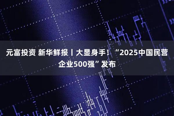 元富投资 新华鲜报丨大显身手！“2025中国民营企业500强”发布
